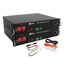 Dyness 2.4kWh Lithium Battery